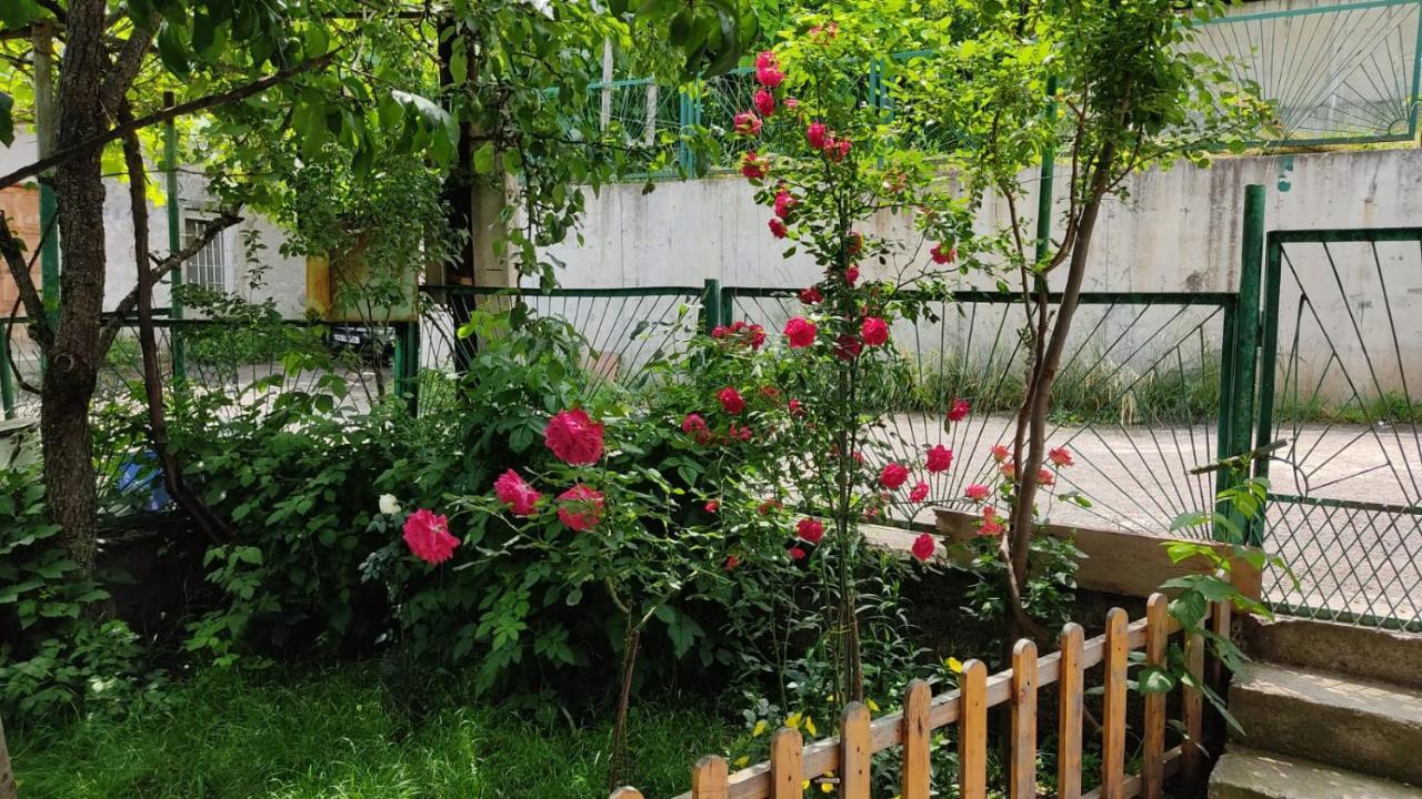 Borjomi Nest Hotel Bagian luar foto