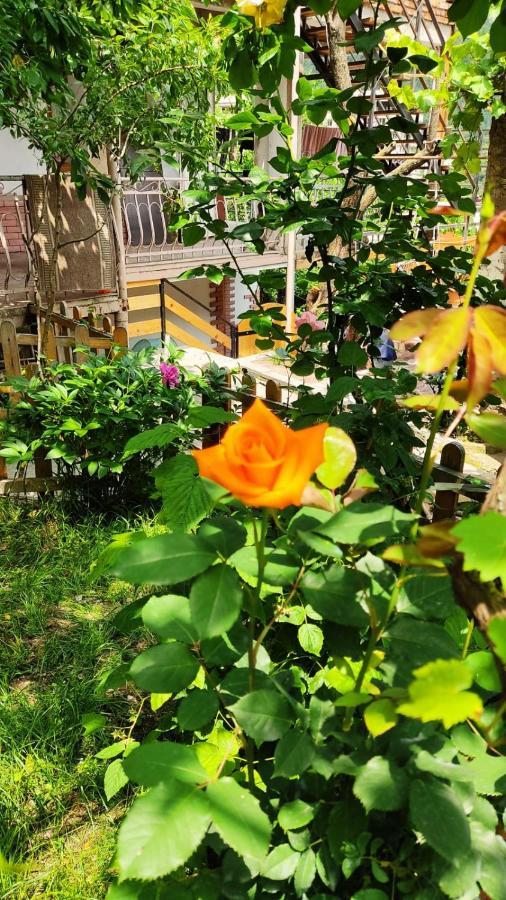 Borjomi Nest Hotel Bagian luar foto
