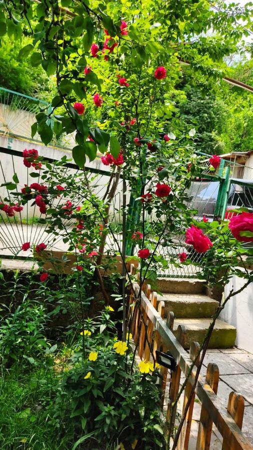 Borjomi Nest Hotel Bagian luar foto