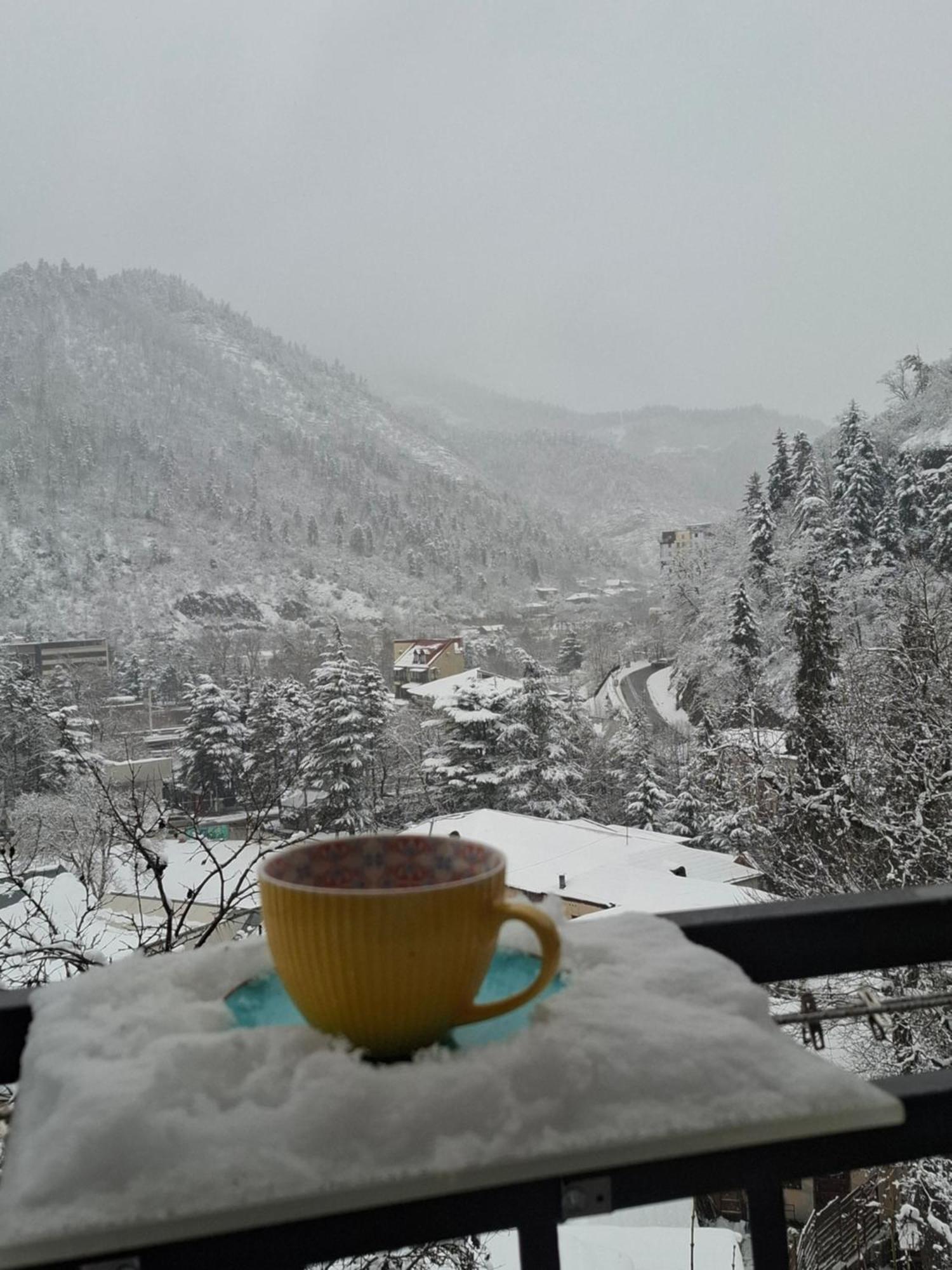 Borjomi Nest Hotel Bagian luar foto